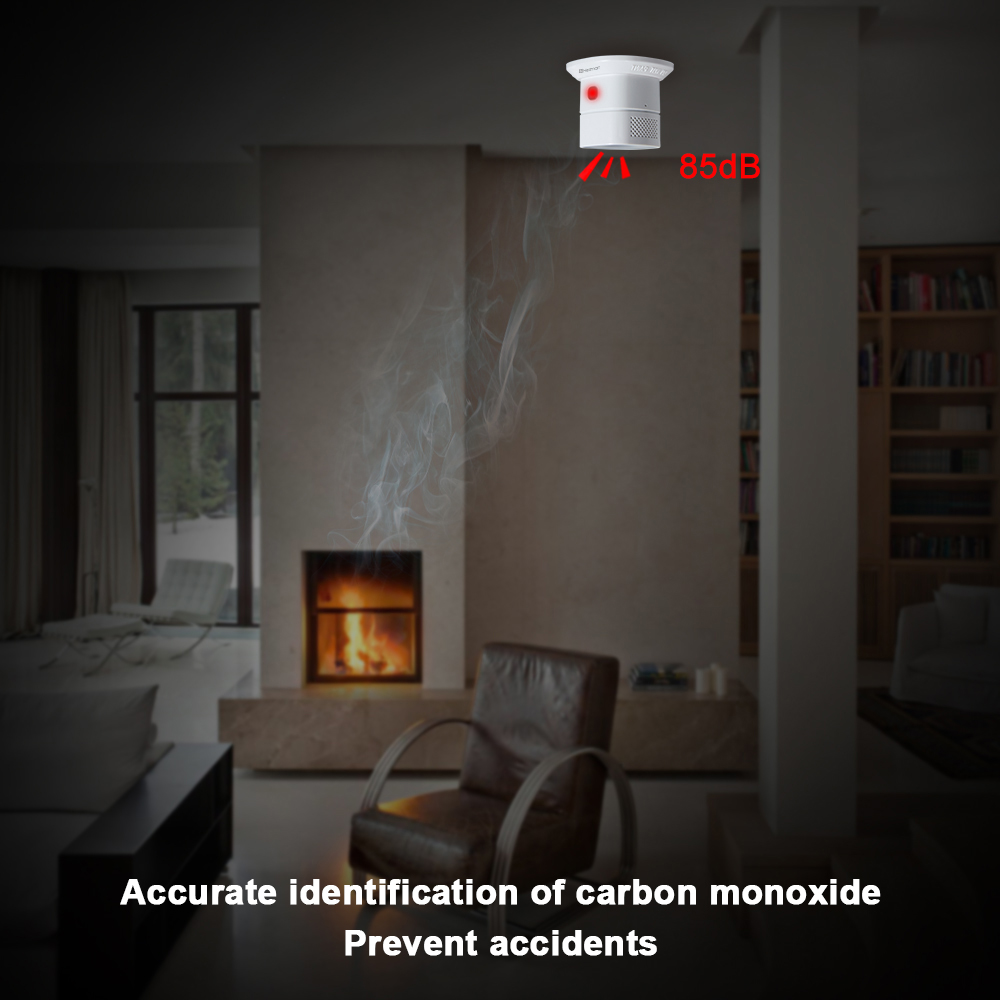 HEIMAN Zigbee Carbon monoxide  - Smoke Leak Detector ulasan dan harga