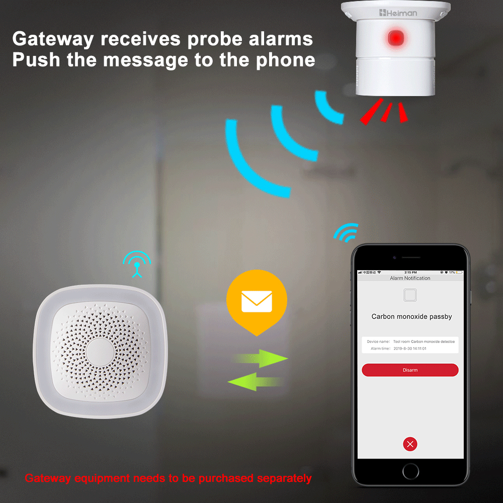 HEIMAN Zigbee Carbon monoxide  - Smoke Leak Detector ulasan dan harga